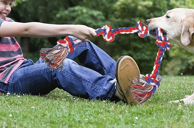 tug of war dog toy