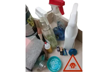 Common Household Items Toxic to Dogs